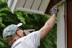 professional exterior house painter in Victoria,